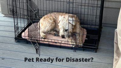 Pet ready for disaster